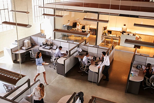 Aerial view of a busy office suite with cubicles