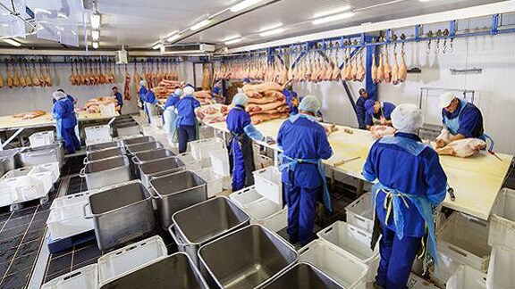 A group of food safety workers processing rows of meat