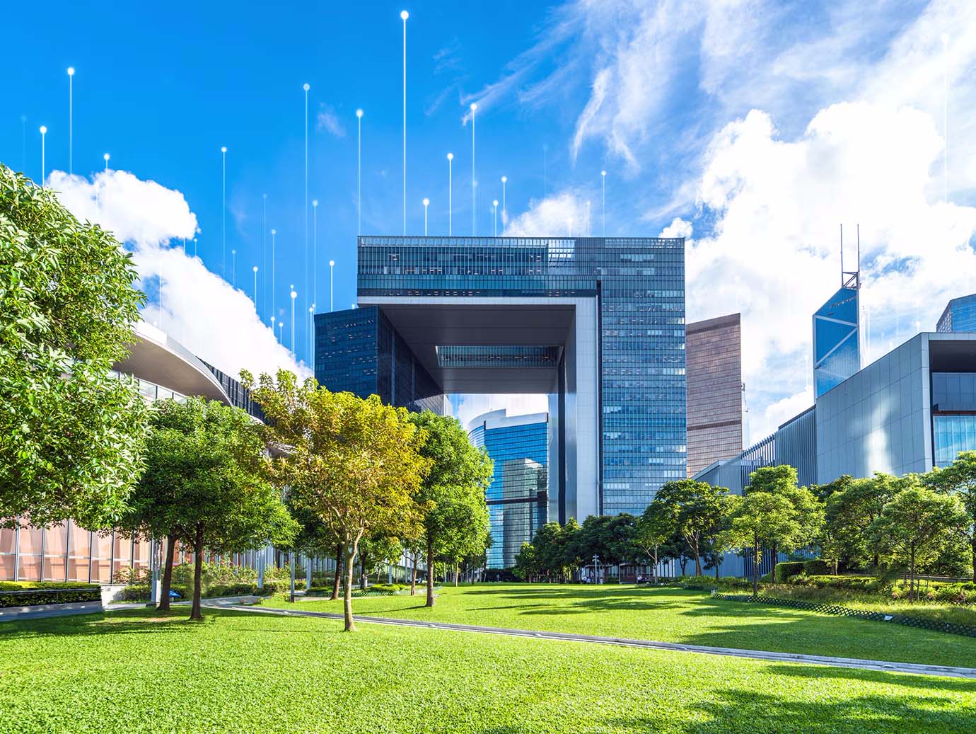 High-rise commercial building surrounded by trees