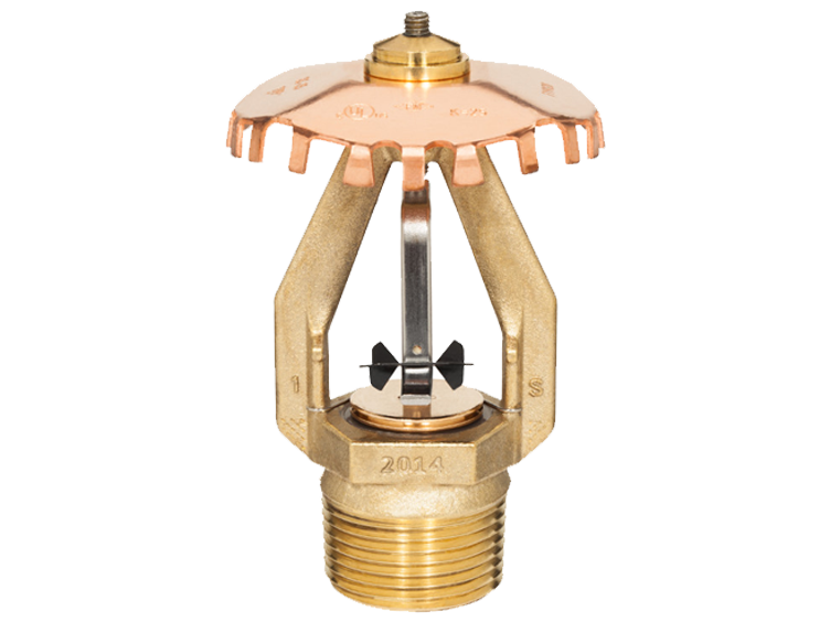 A gold Extended Coverage sprinkler