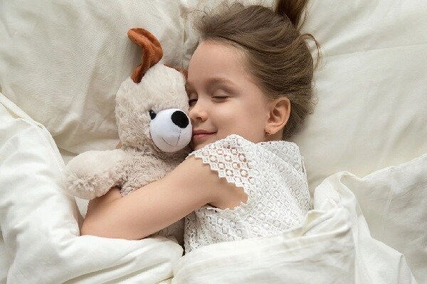 Energy recovery ventilator overview