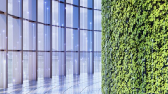 A passage in a building, with one wall covered with plants and the other made of glass